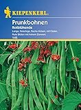 Bohne Rotblühende / Feuerbohnen foto / 3,21 €