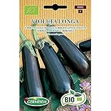 Germisem Aubergine VIOLETA LONGA, ECBIO5012 foto / 3,99 €