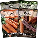 Sow Right Seeds - Carrot Seed Collection for Planting - Rainbow, Nantes, Imperator, and Kuroda Varieties - Non-GMO Heirloom Seeds to Plant a Home Vegetable Garden - Great Gardening Gift photo / $9.99