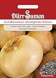 Dürr-Samen - 600 x Sommerzwiebeln 