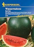 Melonen Wassermelone Red Star F1 foto / 5,24 € (5,24 € / Stück)