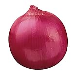 Burpee Red Creole Onion Seeds 300 seeds photo / $6.56