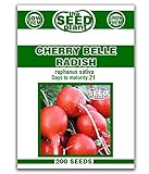 Cherry Belle Radish Seeds - 200 Seeds Non-GMO photo / $1.59