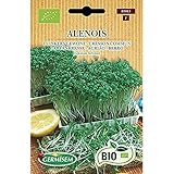 Germisem Orgánica Alenois Semillas de Berro Jardín 8 g (ECBIO7013) foto / 3,99 €