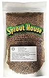 The Sprout House Certified Organic Non-GMO Sprouting Seeds Radish Mix Daikon Radish, and/or Triton Radish (Purple Stems/Green Leaves) and/or China Red Radish 1 Pound photo / $16.05 ($1.00 / Ounce)