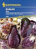 Kohlsamen - Spitzrotkohl Tinty von Kiepenkerl foto / 3,82 €