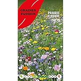 Graines Passion sachet de graines Prairie fleurie Enfys photo / 5,50 €