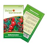 Balkontomaten Balkonzauber Samen - Solanum lycopersicum - Balkontomatensamen - Gemüsesamen - Saatgut für 15 Pflanzen foto / 1,99 € (0,13 € / stück)