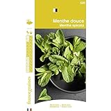 France Graines - Menthe Douce photo / 4,90 €