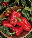 Burpee Great Stuff Sweet Pepper Seeds 40 seeds photo / $7.65 ($0.19 / Count)