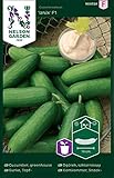 Minigurken Samen Iznik F1 - Nelson Garden Gemüsesamen - Snackgurken Samen Saatgut (4 Stück) (Gurke, Topf-, Iznik F1, Einzelpackung) foto / 4,95 €