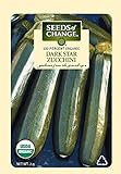 Seeds of Change 5800 Dark Star Zucchinie, Green photo / $7.99