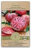 Gaea's Blessing Seeds - Tomato Seeds - Cherokee Purple Slicing Tomato - Non-GMO Seeds with Easy to Follow Planting Instructions - Open-Pollinated 96% Germination Rate photo / $6.99