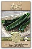 Gaea's Blessing Seeds - Zucchini Seeds - Non-GMO - with Easy to Follow Planting Instructions - Heirloom Black Beauty Summer Squash 97% Germination Rate photo / $5.99