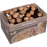 Große 10kg Steinchampignon Pilzzuchtbox XXL I Hawlik Pilzbrut I kinderleicht Pilze selber züchten I ohne Vorkenntnisse I Geschenk foto / 24,90 € (2,49 € / kg)