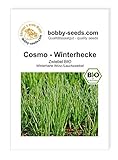 BIO-Zwiebelsamen Winterhecke Lauchzwiebel Portion foto / 1,95 €