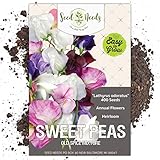 Seed Needs, Old Spice Sweet Pea (Lathyrus odoratus) Bulk Pack of 400 Seeds photo / $8.99 ($0.02 / Count)