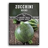 Survival Garden Seeds - Round Zucchini Seed for Planting - Pack with Instructions to Plant and Grow Small Green Zucchinis in Your Home Vegetable Garden - Non-GMO Heirloom Variety photo / $4.99