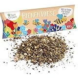 Bienenwiese Blumenmischung: 100g Premium Bienen Saatgut für bunte Bienenweide, Bienen und Hummelmagnet - bienenfreundliche Blumensamen Mischung ein- und mehrjährig - Blumenwiese Samen von OwnGrown foto / 5,55 € (55,50 € / kg)