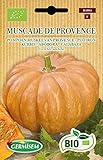 Germisem Orgánica Muscade de Provence Semillas de Calabaza 4 g, ECBIO4004 foto / 3,99 €