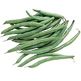 Burpee Blue Lake 274 Bush Bean Seeds 2 ounces of seed photo / $6.30 ($3.15 / Ounce)