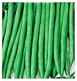 Semillas de frijol xera eater - verduras - phaseolus vulgaris - 220 semillas aproximadamente - las mejores semillas de plantas - flores - frutas raras - frijoles - idea de regalo original foto / 13,90 €