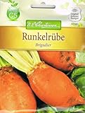 Futterrübe Brigadier Runkelrübe Rübe foto / 3,87 € (258,00 € / kg)