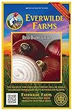 Everwilde Farms - 500 Red Burgundy Onion Seeds - Gold Vault Jumbo Seed Packet photo / $2.98