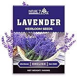 1400 English Lavender Seeds for Planting Indoors or Outdoors, 90% Germination, to Give You The Lavender Plant You Need, Non-GMO, Heirloom Herb Seeds photo / $5.99 ($0.01 / Count)