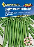 Kiepenkerl 110 Buschbohne/Filetbohne Faraday (Buschbohnensamen) foto / 3,52 €