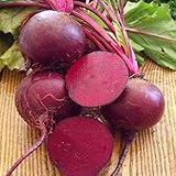 David's Garden Seeds Beet Detroit Dark Red 1224 (Red) 200 Non-GMO, Heirloom Seeds photo / $2.95