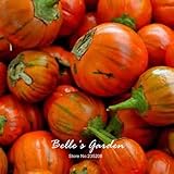 Naranja berenjena 20pcs turca Vegetable Seeds Inicio Plantas Bonsai Garden bricolaje foto / 14,98 €