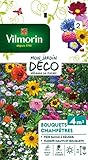 Vilmorin 5859542 Pack de Graines Fleur pour Bouquets Champêtres photo / 4,75 €