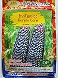 Thai Purple Waxy Glutinous Corn Seeds photo / $6.99 ($13.19 / Ounce)