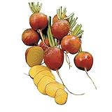 Burpee Golden Beet Seeds 200 seeds photo / $7.83