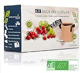 Cultivea - Kit de bolsas de cultivo - Cultiva tu propio huerto urbano - Semillas 100% ecológicas y orgánicas - Cultivo - Tomate, Fresa y Rábano - Idea de regalo foto / 29,90 €