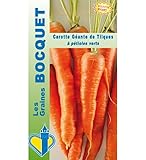 Sachet de graines de Carotte géante de Tilques - 2 g - légume racine - LES GRAINES BOCQUET photo / 5,49 € (2 745,00 € / kg)