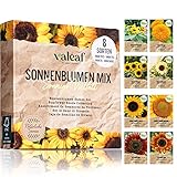 valeaf Sonnenblumen Samen Set I 8 Sorten Sonnenblumensamen I Sonnenblume Blumensamen im praktischen Pflanzen Set I Sommerblumen Samen Wildblumenmischung I Pflanzen Samen ideal als Blumensamen Geschenk foto / 9,99 € (1,25 € / count)