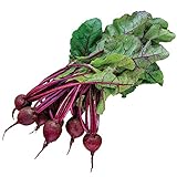 Burpee Detroit Dark Red Med Top Beet Seeds 3000 seeds photo / $12.16