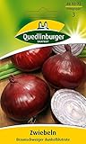 Zwiebelsamen - Zwiebel Braunschweiger dunkelblrote von Quedlinburger Saatgut foto / 3,32 €