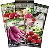 Sow Right Seeds - Radish Seed Collection for Planting - Champion, Watermelon, French Breakfast, China Rose, and Minowase (Diakon) Varieties - Non-GMO Heirloom Seed to Plant a Home Vegetable Garden photo / $10.99