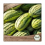 Samenliebe BIO Wassermelonen Samen Charleston Gray süße Riesenmelone lange Melone rot 10 Samen samenfestes Gemüse Saatgut für Gewächshaus Freiland und Balkon BIO Gemüsesamen foto / 3,59 €