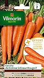 Vilmorin 3175742 Pack de Graines Carotte de Colmar à Cœur Rouge 2 + Echantillon Carotte Eskimo photo / 5,90 €