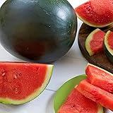 Watermelon, Black Diamond, Heirloom, 50 Seeds, Super Sweet Round Melon photo / $2.99 ($0.06 / Count)