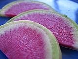 Radish Watermelon Great Heirloom Vegetable by Seed Kingdom 200 Seeds photo / $1.95 ($0.01 / Count)