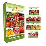 Tomatensamen Set - 10 Sorten Samen - Saatgut Sortiment - Anzuchtset für Tomatenpflanzen - Geschenkset - Stabtomaten, Balkontomaten, Flaschentomaten und mehr foto / 7,95 € (0,80 € / stück)