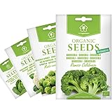 Semillas Ecológicas Minigarden, Selección BRASSICA: Brócoli, Coliflor, Col de Bruselas y Col de Saboya foto / 9,95 €