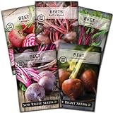 Sow Right Seeds - Beet Seeds for Planting - Detroit Dark Red, Golden Globe, Chioggia, Bull’s Blood and Cylindra Varieties - Non-GMO Heirloom Seeds to Plant a Home Vegetable Garden - Great Gift photo / $10.99