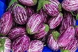 Fairy Tale F1 Eggplant Seeds - Non-GMO - 10 Seeds photo / $6.99