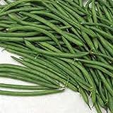 Burpee Stringless Green Bush Bean - 25 Count Seed Pack - Non-GMO - A Culinary Star, pods are Delicious in Many Foods. - Country Creek LLC photo / $1.99